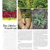 zum Artikel